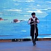 Яркий фейерверк фестиваля «Новогодние открытки» продолжается