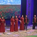 Праздник традиционной культуры СКФО «Народы Кавказа»