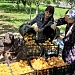 Фестиваль народной культуры «Праздник абрикосов»