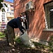 Республиканский дом народного творчества Министерства культуры РД присоединился ко Всероссийскому субботнику
