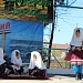 Республиканский фестиваль «Самурская осень» прошел в Магарамкентском районе