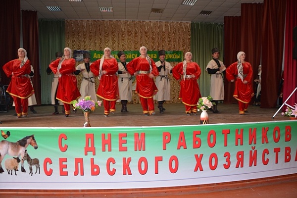 Фестиваль - конкурс традиционной культуры   состоялся в Шамильском районе 