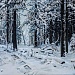 Сегодня в рамках Республиканского проекта "Самородки" состоялось открытие выставки самодеятельной художницы Марины Исмаиловой "Моя душа, мой мир".