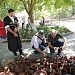 3 июля крепость «Нарын-Кала» в Дербенте собрала участников концерта творческих коллективов и исполнителей «Художественное наследие мастеров»