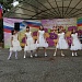 День России отметили в городах и районах Дагестана