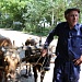 Старинный обряд вызова дождя воспроизвели  в Табасаранском районе