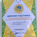 V Всероссийский фестиваль народных мастеров и художников «Палитра ремесел»