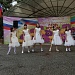 Деятельность центров традиционной культуры народов России за июнь 2017г.