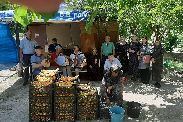 Фестиваль народной культуры «Праздник абрикосов»