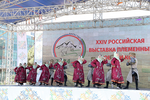 Республиканский фестиваль народного творчества «Традиции Дагестана»