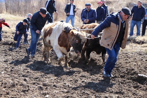 В селе Гигатли Цумадинского района провели обряд Оц бай