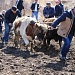 В селе Гигатли Цумадинского района провели обряд Оц бай