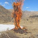 Зимний обрядовый праздник «Урхобай» с. Талух Чародинского района