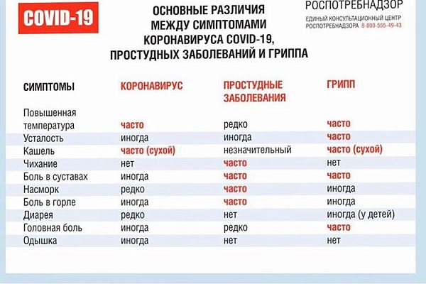 Республиканский Дом народного творчества присоединяется к флэшмобу «Останься дома»