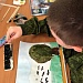 Республиканский Дом народного творчества организовал мастер-класс по изобразительному искусству в 1-ом Дагестанском кадетском корпусе им. генерала-полковника Г.Н. Трошева