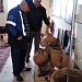 4 ноября в здании РКДЦ прошел праздничный концерт посвященный Дню народного единства.