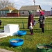 Работники  культуры Кизлярского района проводят мероприятия, посвященные 75-летию Великой Победы.