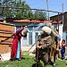 Старинный обряд вызова дождя воспроизвели  в Табасаранском районе